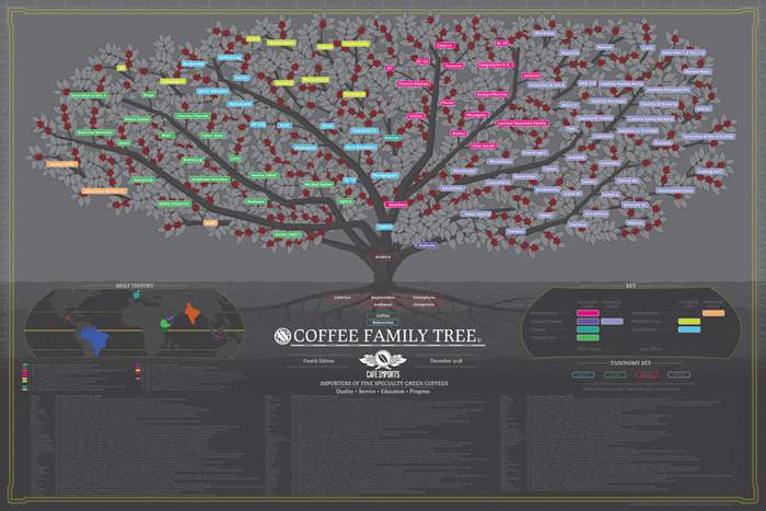 Coffee_Family_Tree_Web-1.jpg