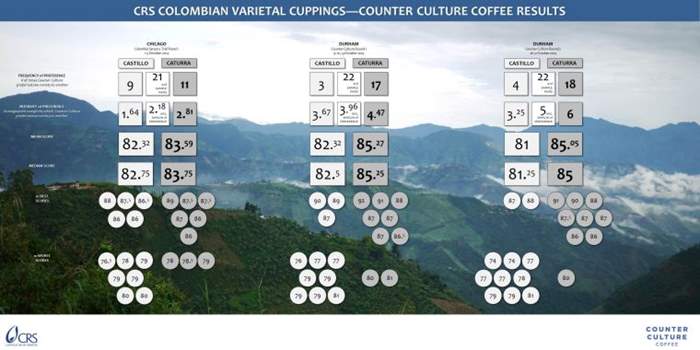 Counter-Culture-Colombia-Varieties-by-the-Numbers-CRS-Coffeelands-Blog.jpg