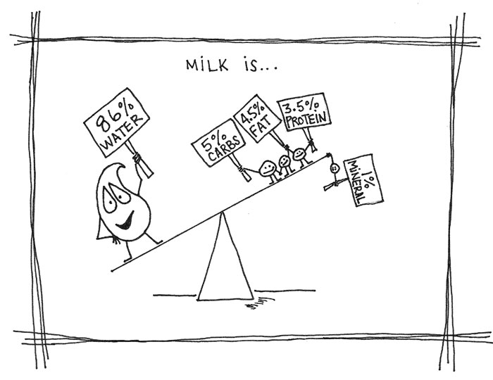 Milk-is_Illustration